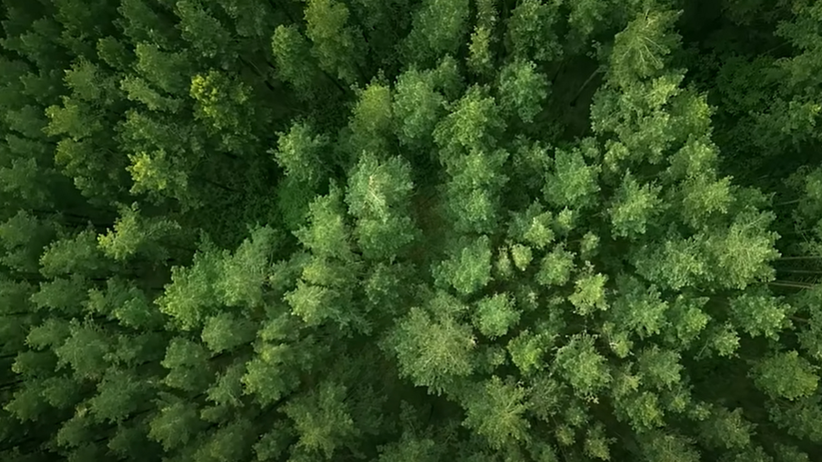 365上市公司官网全新愿景宣传片《通过创新解决方案，赋能更绿色的未来》